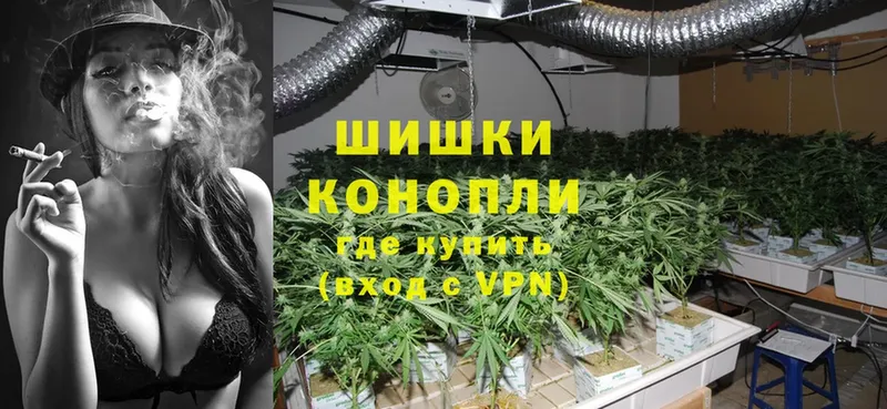 Шишки марихуана OG Kush  наркотики  Прохладный 